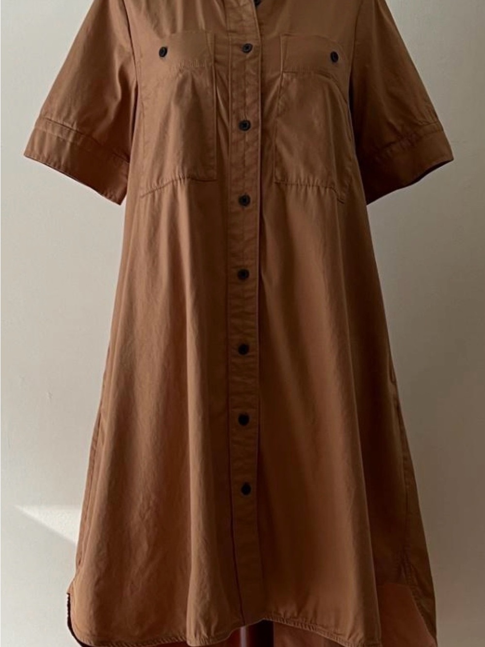Everlane Brown Button-Front Midi Shirt Dress